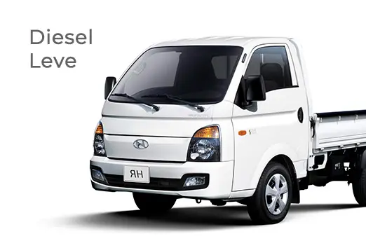 diesel-leve
